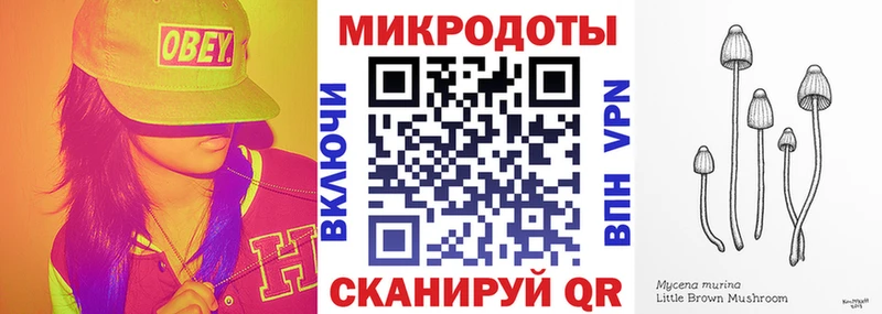 Галлюциногенные грибы Psilocybine cubensis  закладка  Краснокаменск 