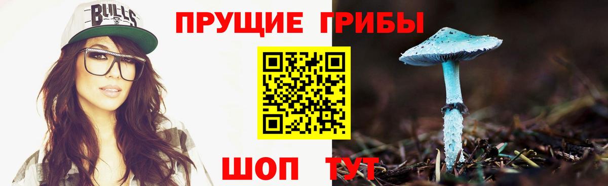 Псилоцибиновые грибы GOLDEN TEACHER  Вход с VPN  Краснокаменск 